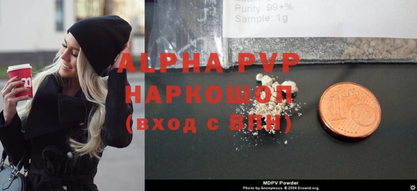 шишки Новодвинск