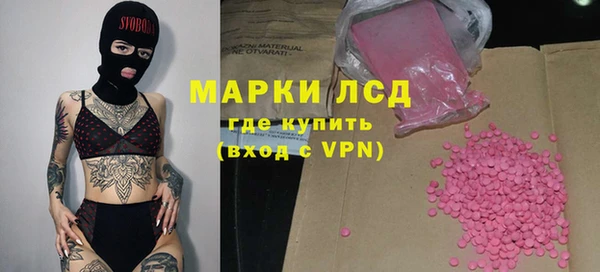 шишки Новодвинск
