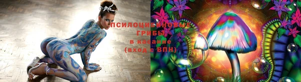 крисы Няндома