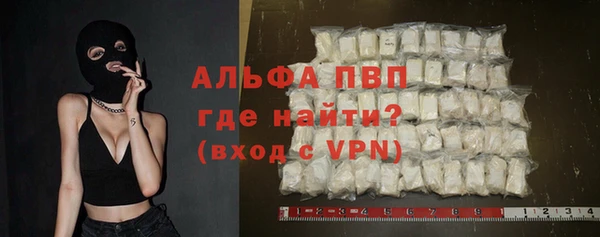 шишки Новодвинск