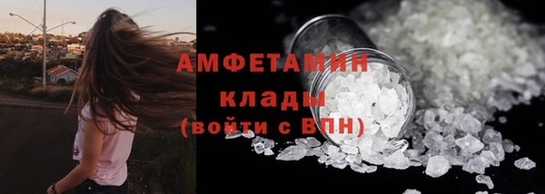 шишки Новодвинск