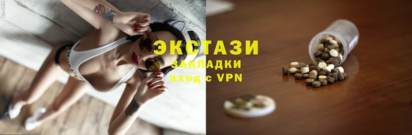 шишки Новодвинск