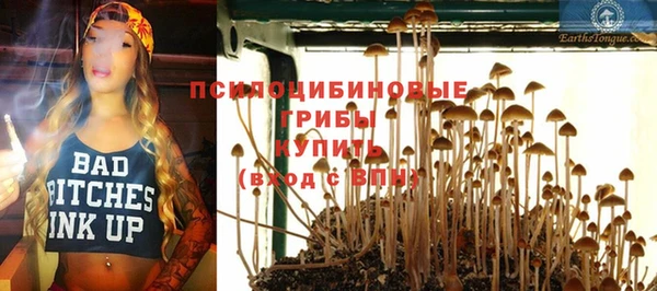 гидра Нязепетровск