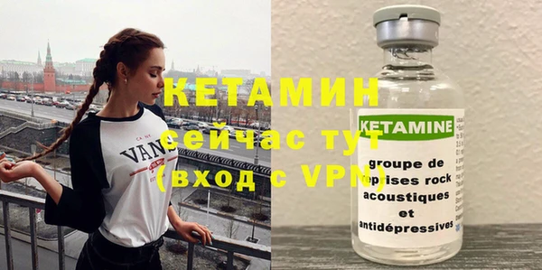 шишки Новодвинск