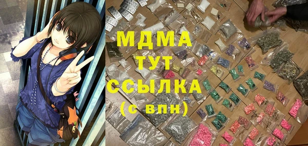 шишки Новодвинск