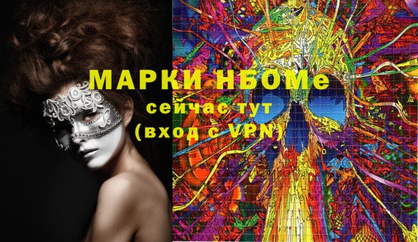 шишки Новодвинск