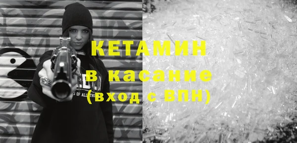 крисы Няндома