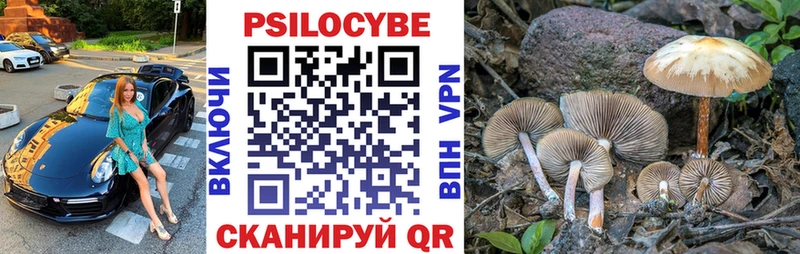 Псилоцибиновые грибы прущие грибы  Ярославль 