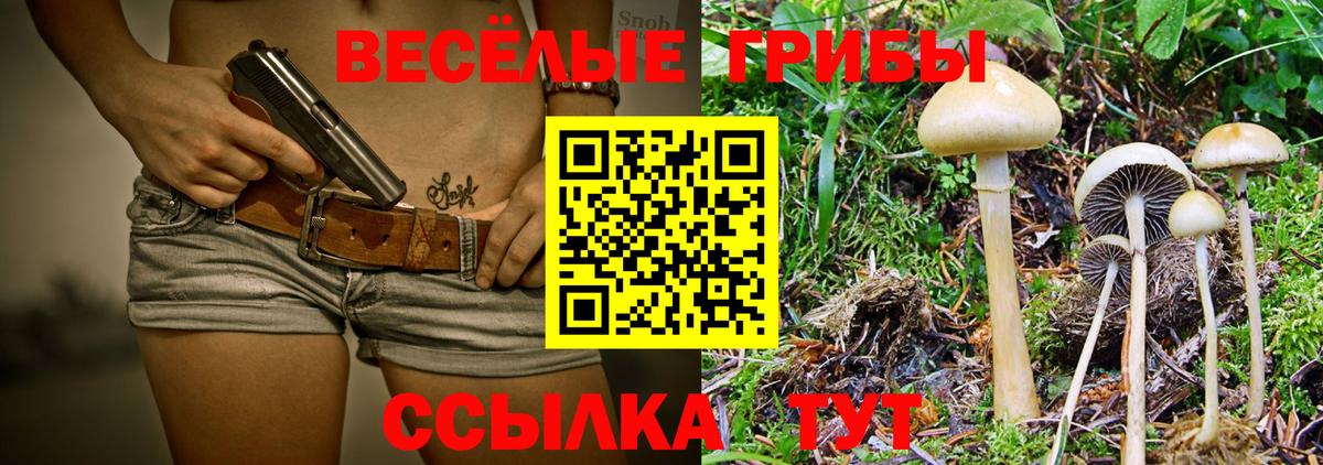 Галлюциногенные грибы Psilocybine cubensis  Ярославль  Галлюциногенные грибы Psilocybine cubensis 