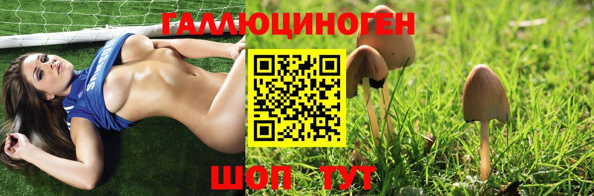 Галлюциногенные грибы мицелий Ярославль