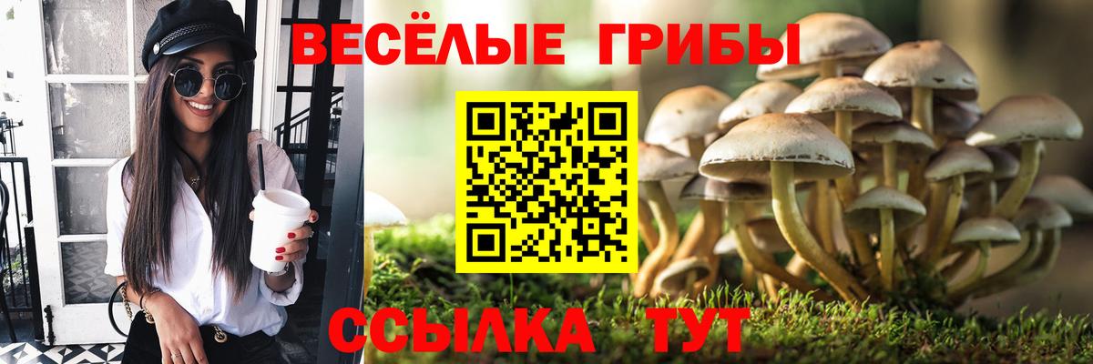 Псилоцибиновые грибы GOLDEN TEACHER Ярославль
